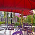 Jester's Poolside Lounge photo