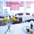 Jasmine's photo